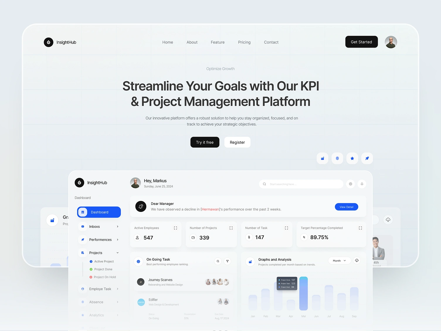 InsightHub - KPI & Project Management Dashboard Web Developmentsite Development 